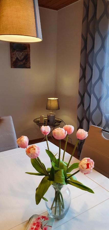 Moderne Ferienwohnung Mit Eigenem Garten Und Traumhaften Blick Wilhelmsthal Luaran gambar
